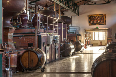Distilleria Deau Cognac